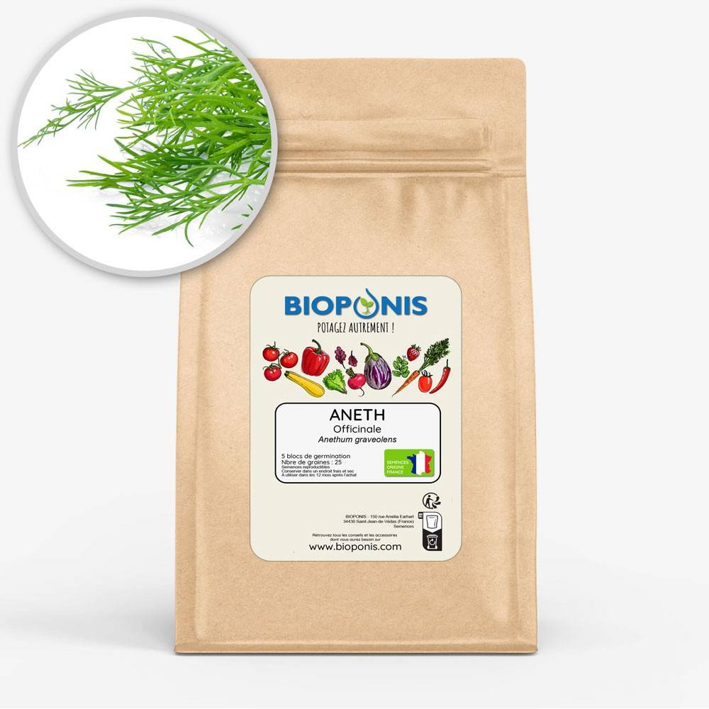 BIOPONIS Aneth Officinale lot de 5 blocs de germination avec graines prêts à planter