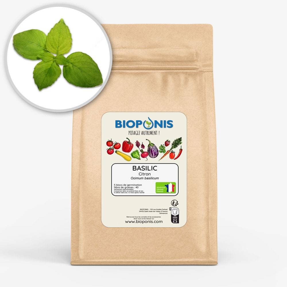 BIOPONIS Basilic Citron lot de 5 blocs de germination avec graines prêts à planter