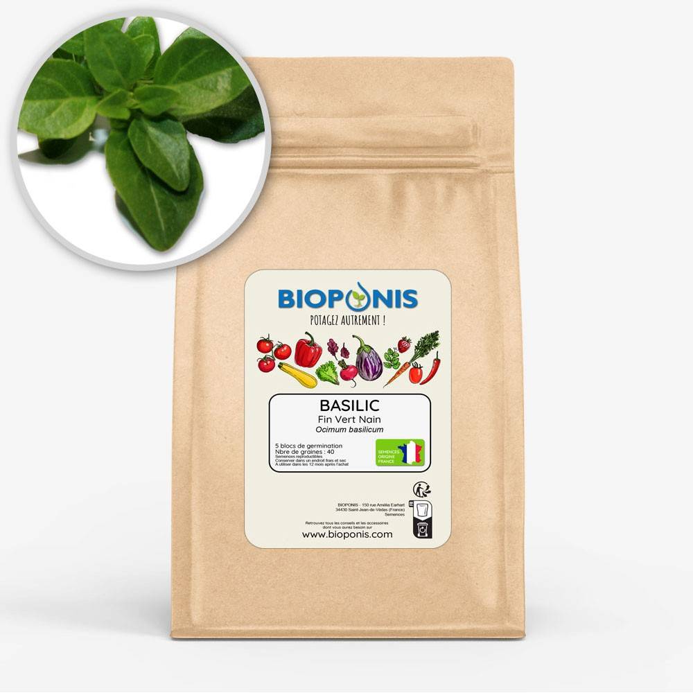 BIOPONIS Basilic Fin Vert Nain lot de 5 blocs de germination avec graines prêts à planter