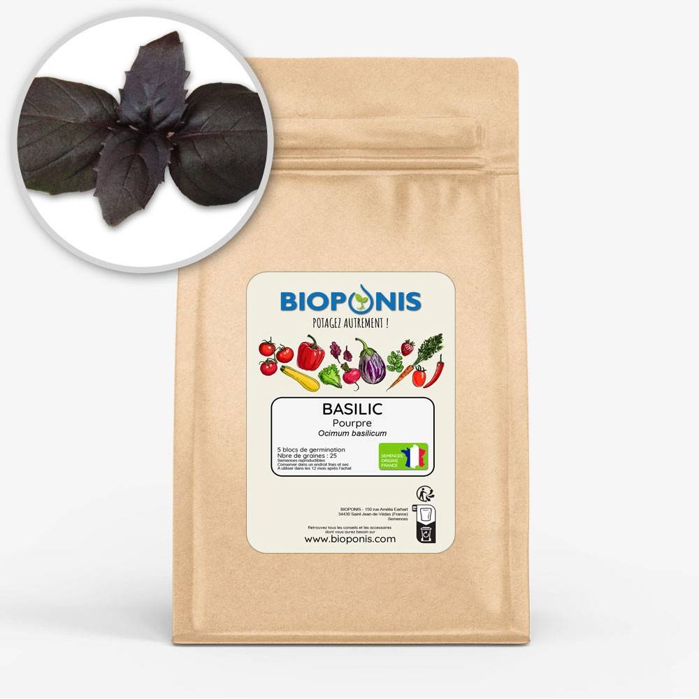 BIOPONIS Basilic Pourpre lot de 5 blocs de germination avec graines prêts à planter