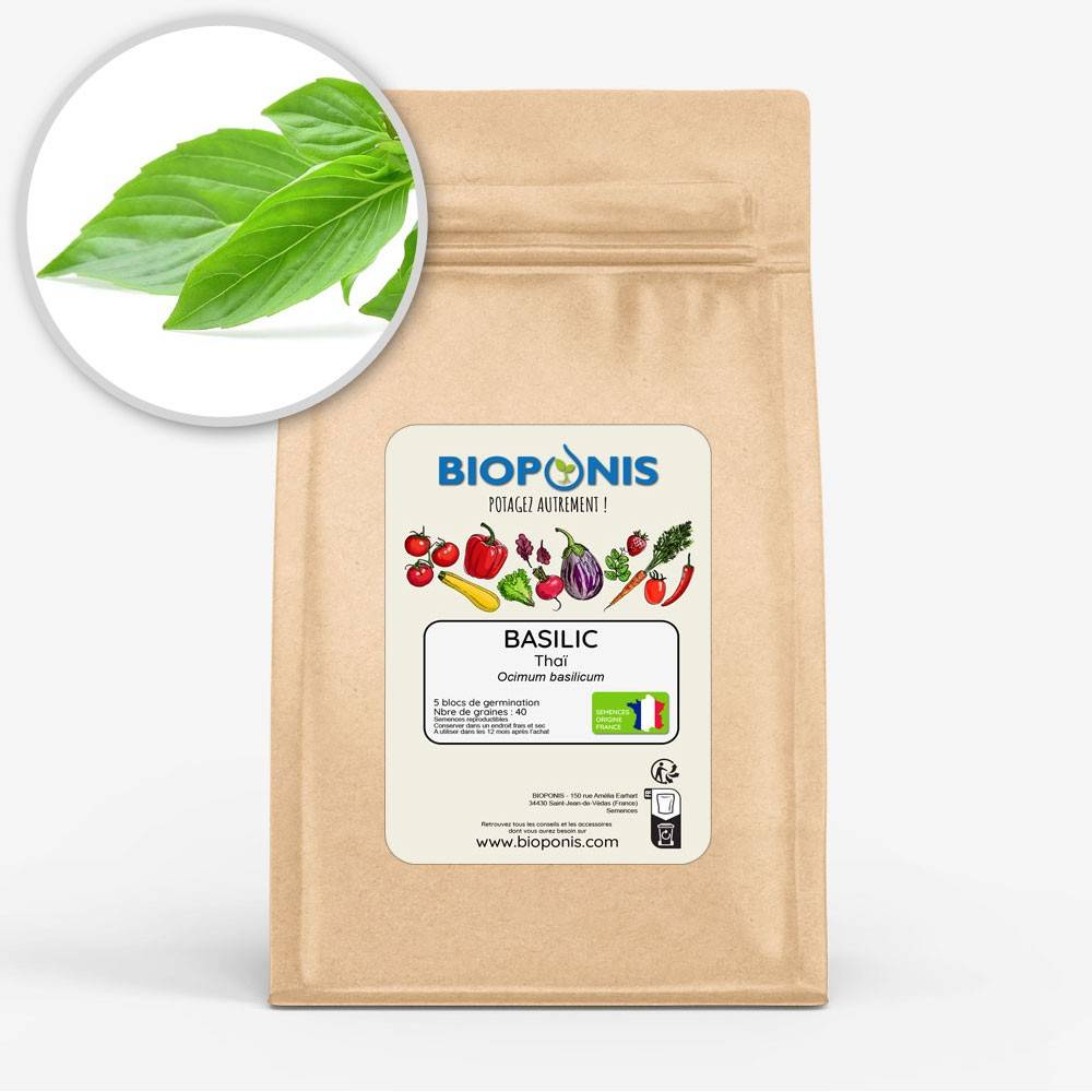 BIOPONIS Basilic Thaï lot de 5 blocs de germination avec graines prêts à planter