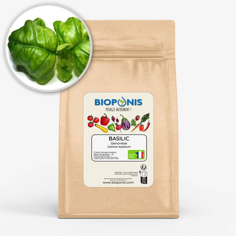 BIOPONIS Basilic Genovese lot de 5 blocs de germination avec graines prêts à planter