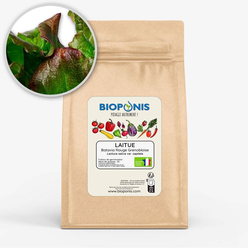 BIOPONIS Batavia Rouge Grenobloise lot de 5 blocs de germination avec graines prêts à planter