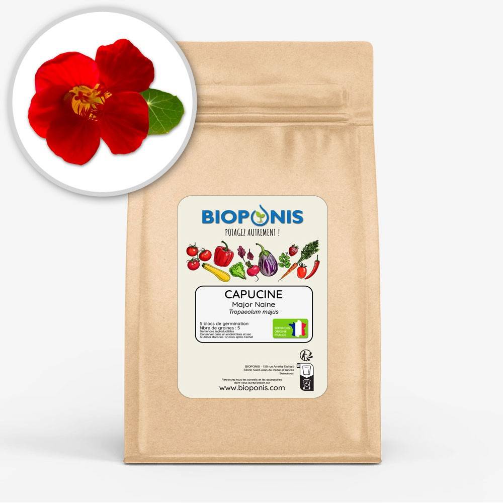 BIOPONIS Capucine Major Naine lot de 5 blocs de germination avec graines prêts à planter