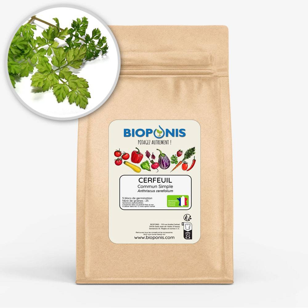 BIOPONIS Cerfeuil Commun Simple lot de 5 blocs de germination avec graines prêts à planter