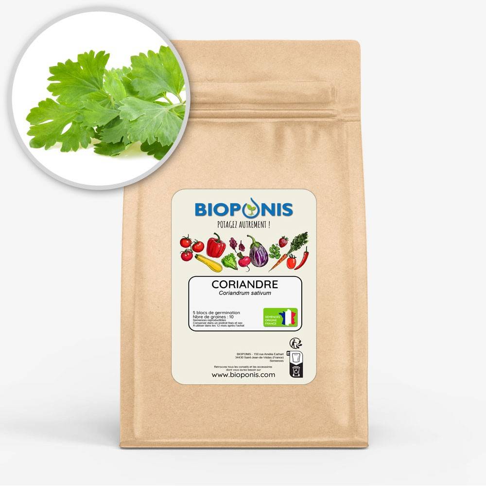 BIOPONIS Coriandre lot de 5 blocs de germination avec graines prêts à planter