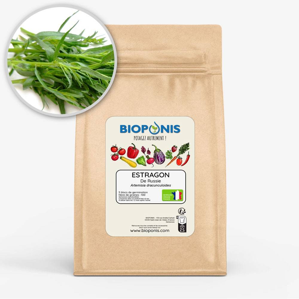 BIOPONIS Estragon de Russie lot de 5 blocs de germination avec graines prêts à planter