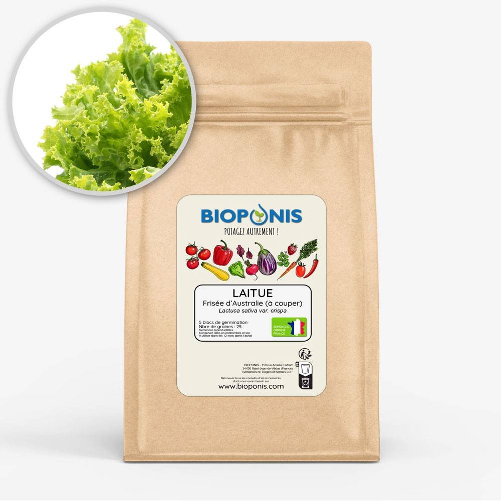 BIOPONIS Laitue à couper Frisée d\'Australie lot de 5 blocs de germination avec graines prêts à planter