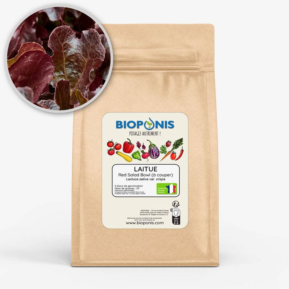 BIOPONIS Laitue à couper Red Salad Bowl lot de 5 blocs de germination avec graines prêts à planter