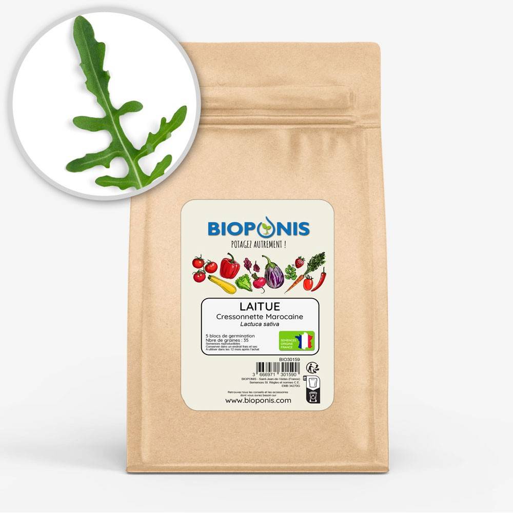 BIOPONIS Laitue Cressonnette Marocaine lot de 5 blocs de germination avec graines prêts à planter
