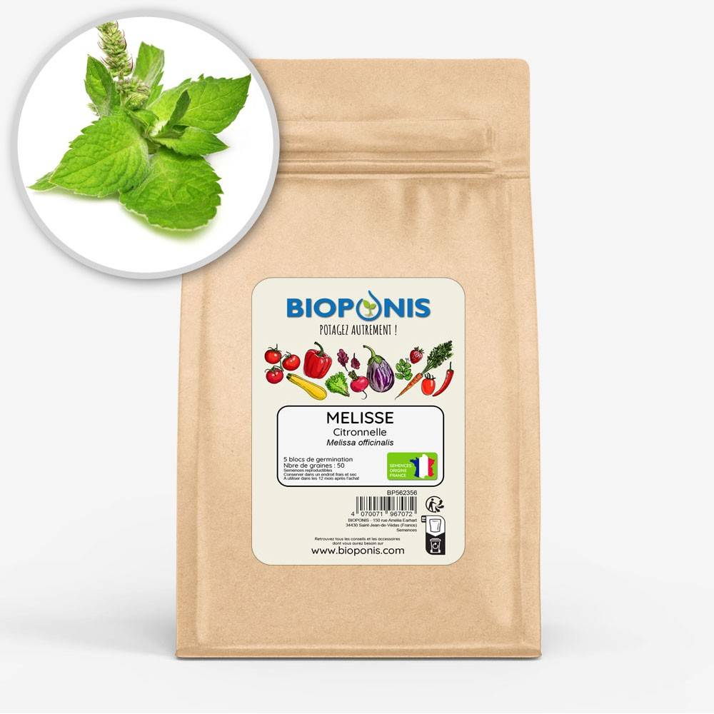 BIOPONIS Mélisse Citronnelle lot de 5 blocs de germination avec graines prêts à planter