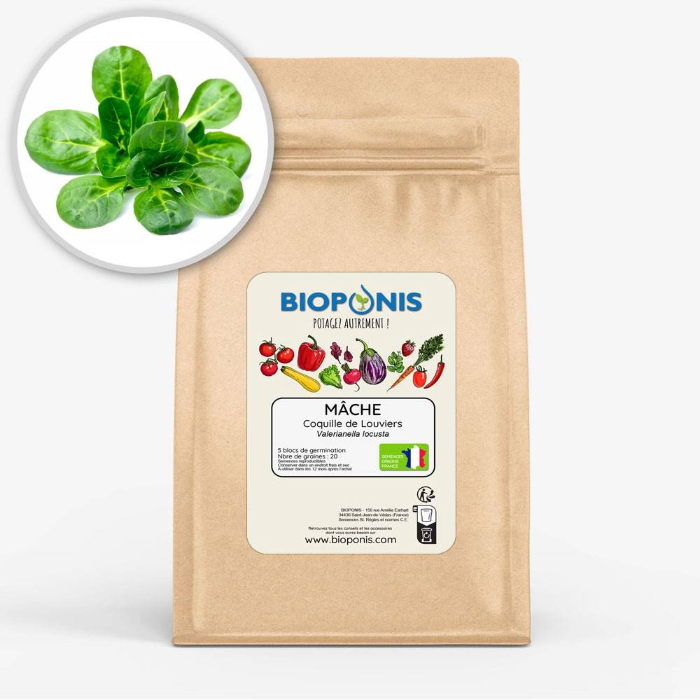 BIOPONIS Mache Coquille de Louviers lot de 5 blocs de germination avec graines prêts à planter