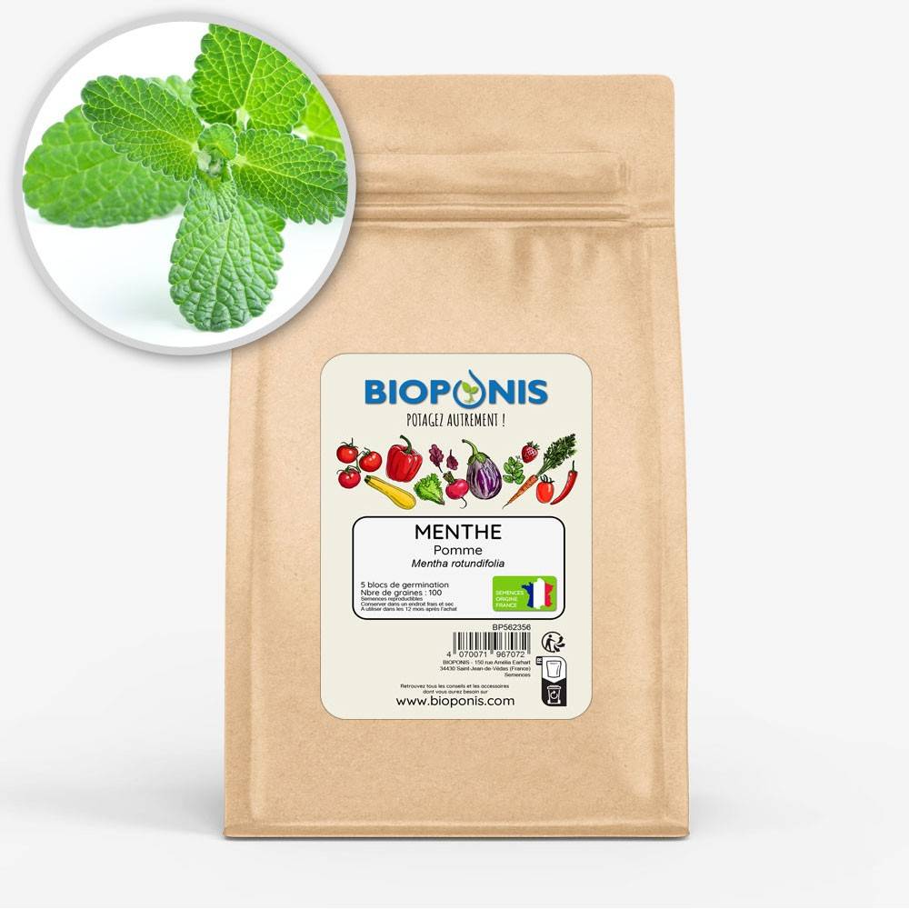BIOPONIS Menthe Pomme lot de 5 blocs de germination avec graines prêts à planter