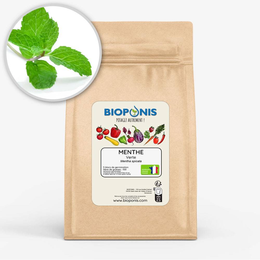BIOPONIS Menthe Verte lot de 5 blocs de germination avec graines prêts à planter