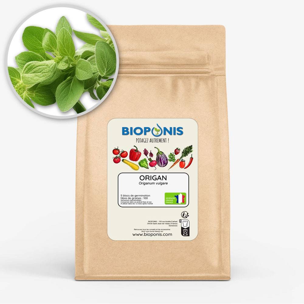 BIOPONIS Origan lot de 5 blocs de germination avec graines prêts à planter