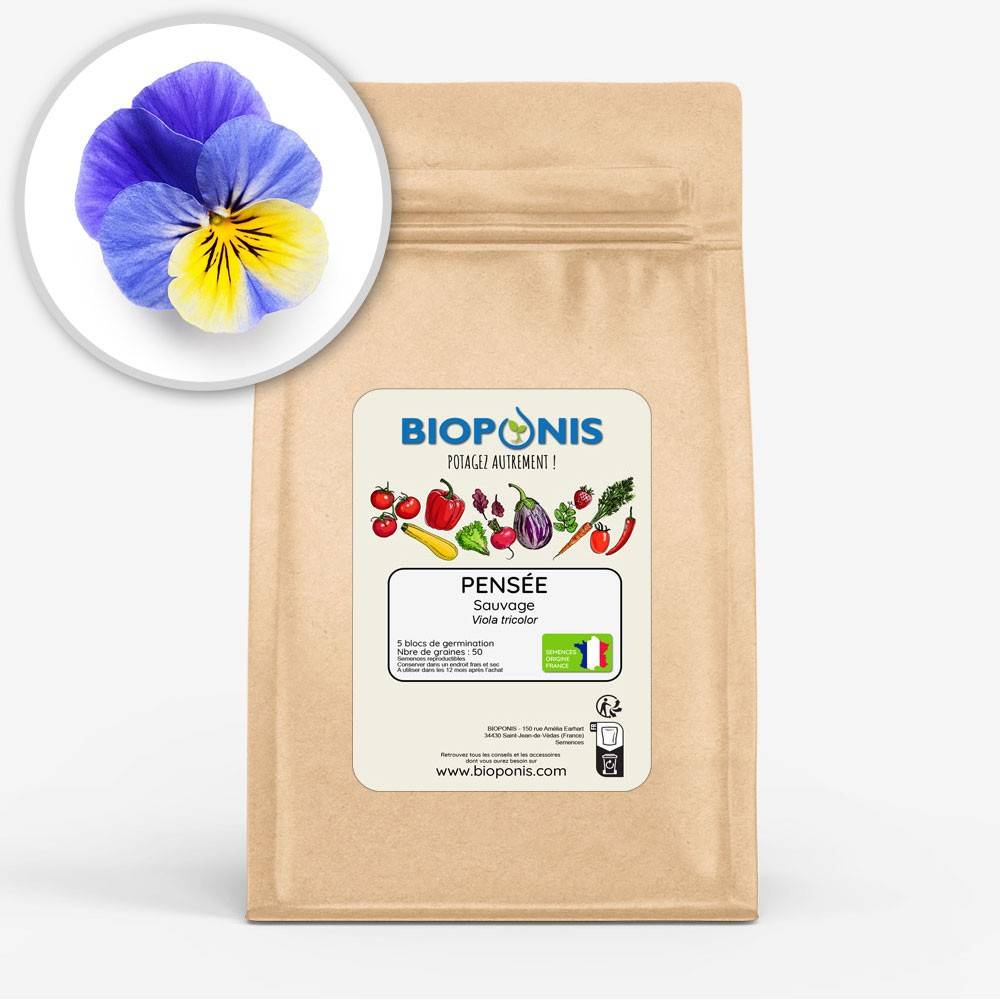 BIOPONIS Pensée Sauvage lot de 5 blocs de germination avec graines prêts à planter