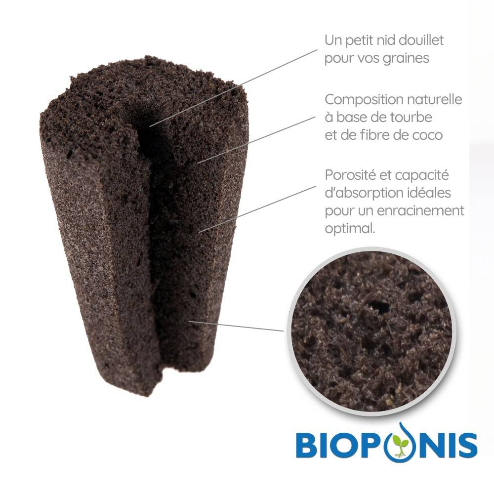 blocs-de-germination-x20
