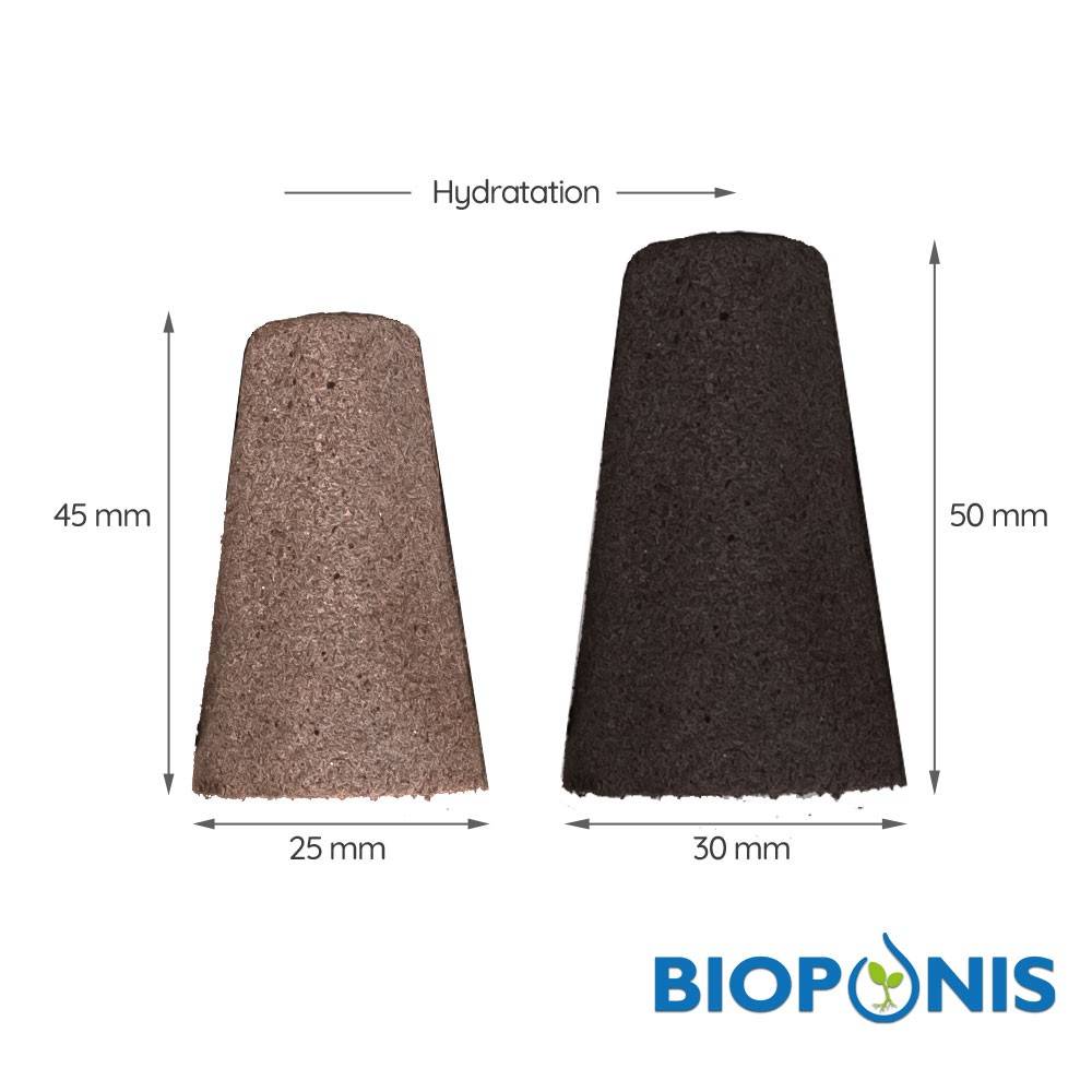 blocs-de-germination-x20