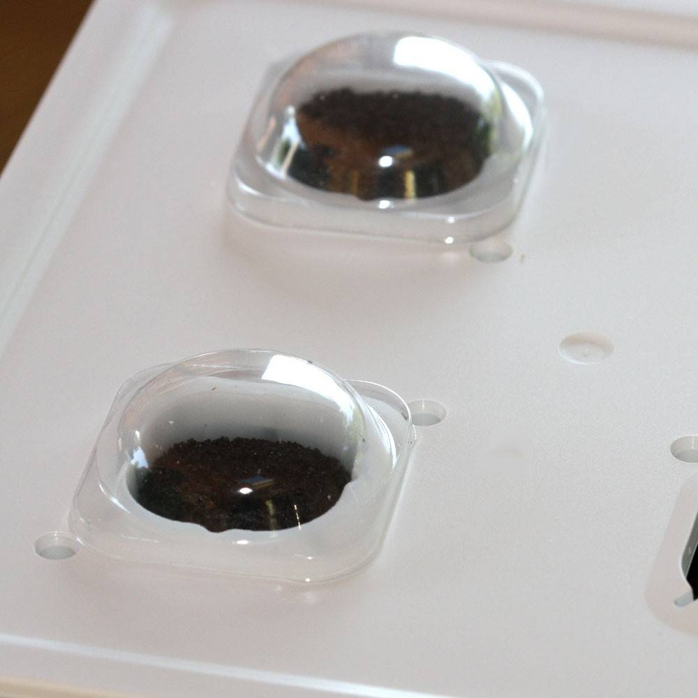 capsules-de-germination-x20