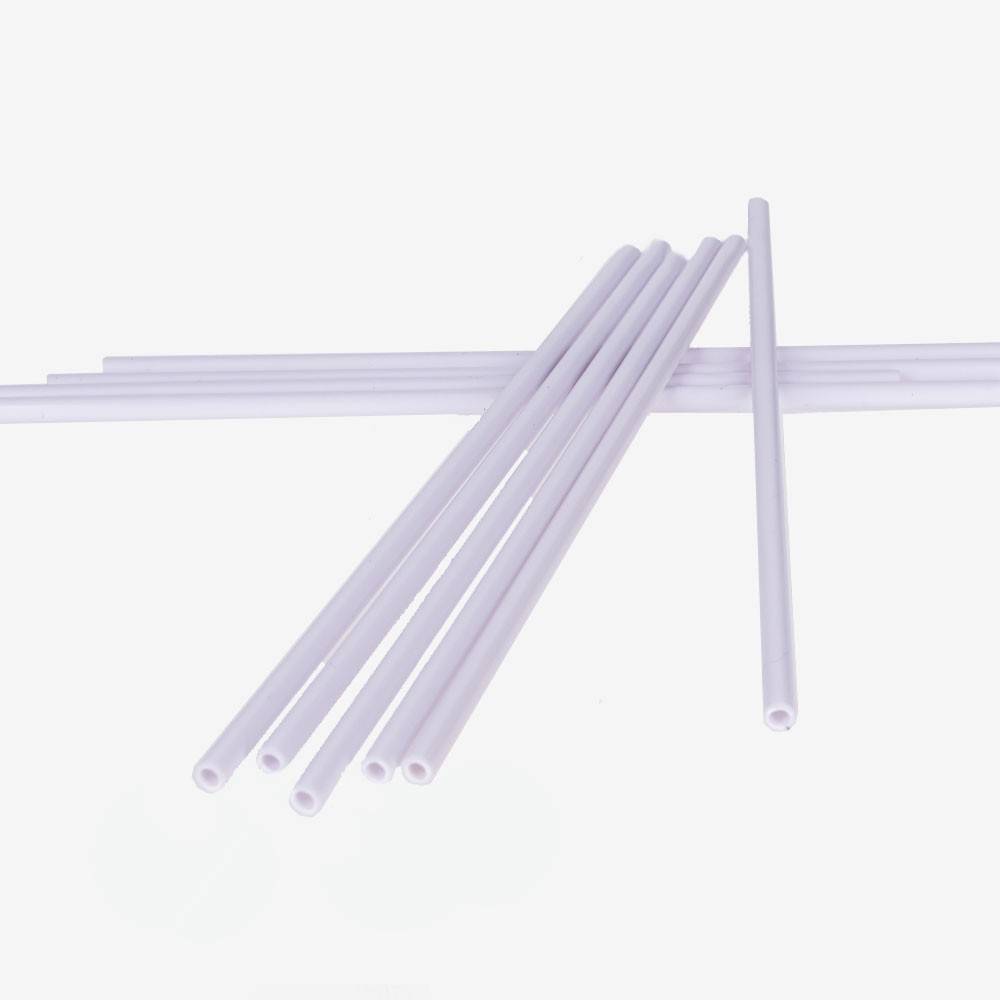 BIOPONIS Lot de 10 tuteurs pour soutenir les plantes