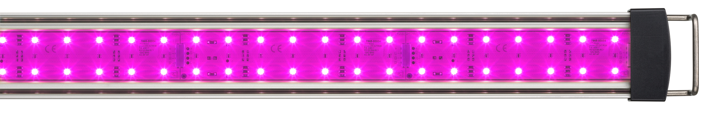 beleuchtet_PowerRGB_Det_0424_magenta