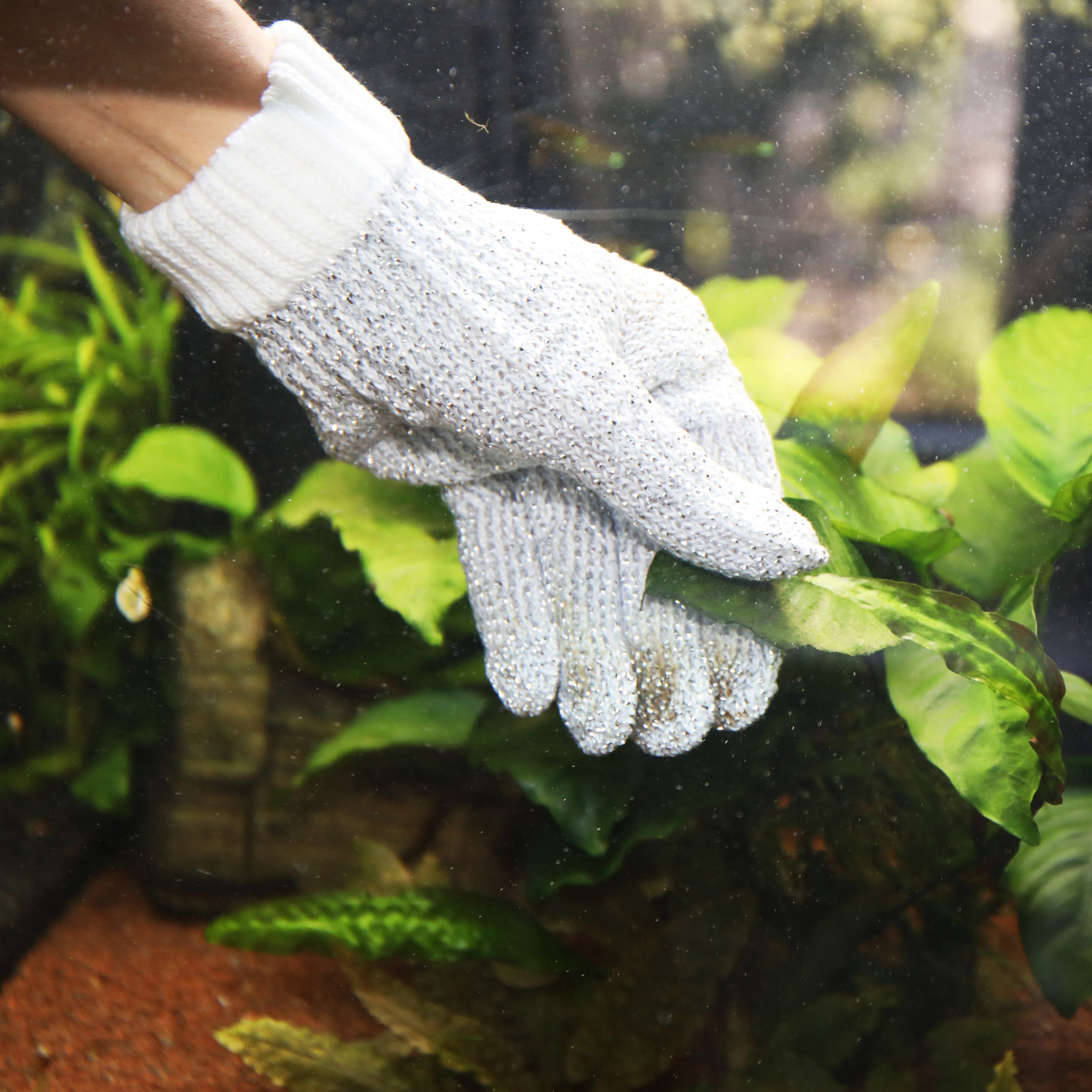 jbl-proscape-cleaning-glove-s-m-gant-de-nettoyage-pour-vitres-et-objets-de-l-aquarium-9