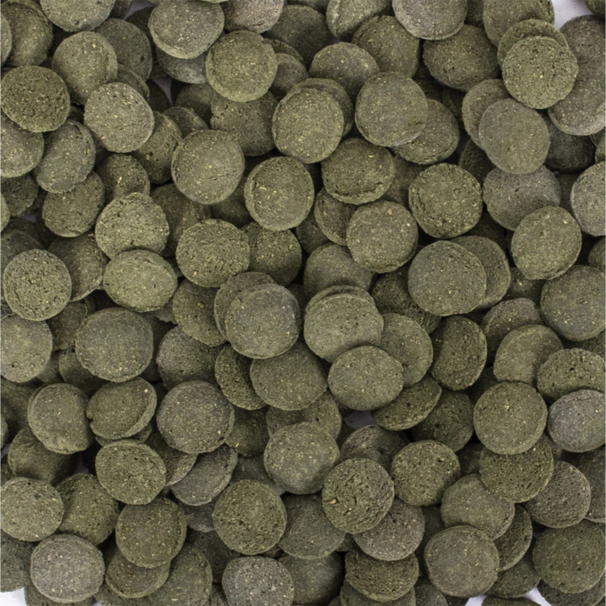 tropical-hi-algae-discs-250-ml-nourritures-a-base-d-algues-pour-plecos-et-crevettes-d-eau-douce-1