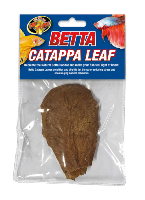 ZOOMED Betta Catappa Leaf lot de 3 feuilles de Badamier pour recréer l\'environnement idéal des Betta et crevettes