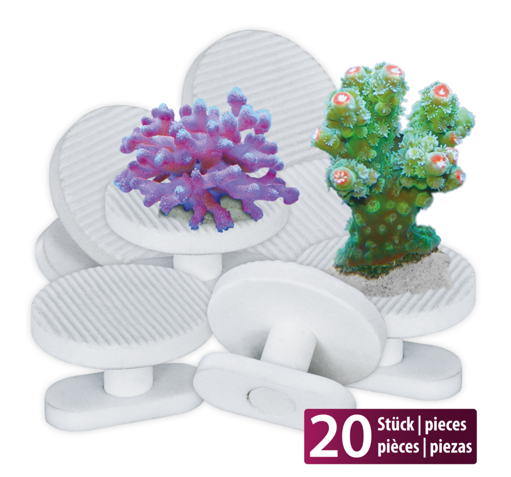 aqua-medic-frag-pins-lot-de-20-supports-a-boutures-pour-coraux-1