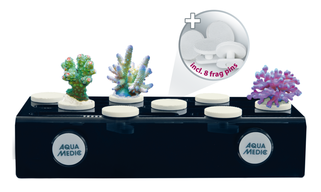 aqua-medic-frag-board-mag-plaque-a-frag-pins-24-x-10-cm-avec-fixations-magnetique-et-8-supports-a-boutures-1