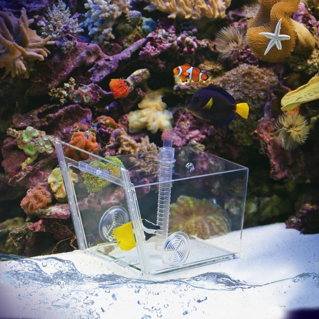 aqua-medic-fish-trap-piege-pour-une-capture-ciblee-de-poissons-dans-l-aquarium-1