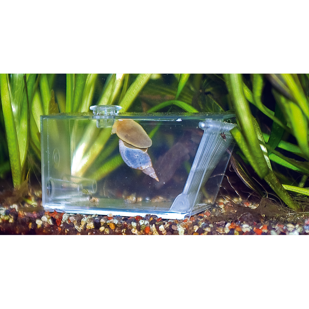 aqua-medic-trap-pest-piege-universel-pour-crabes-escargots-et-vers-de-feu-en-eau-douce-ou-de-mer-2