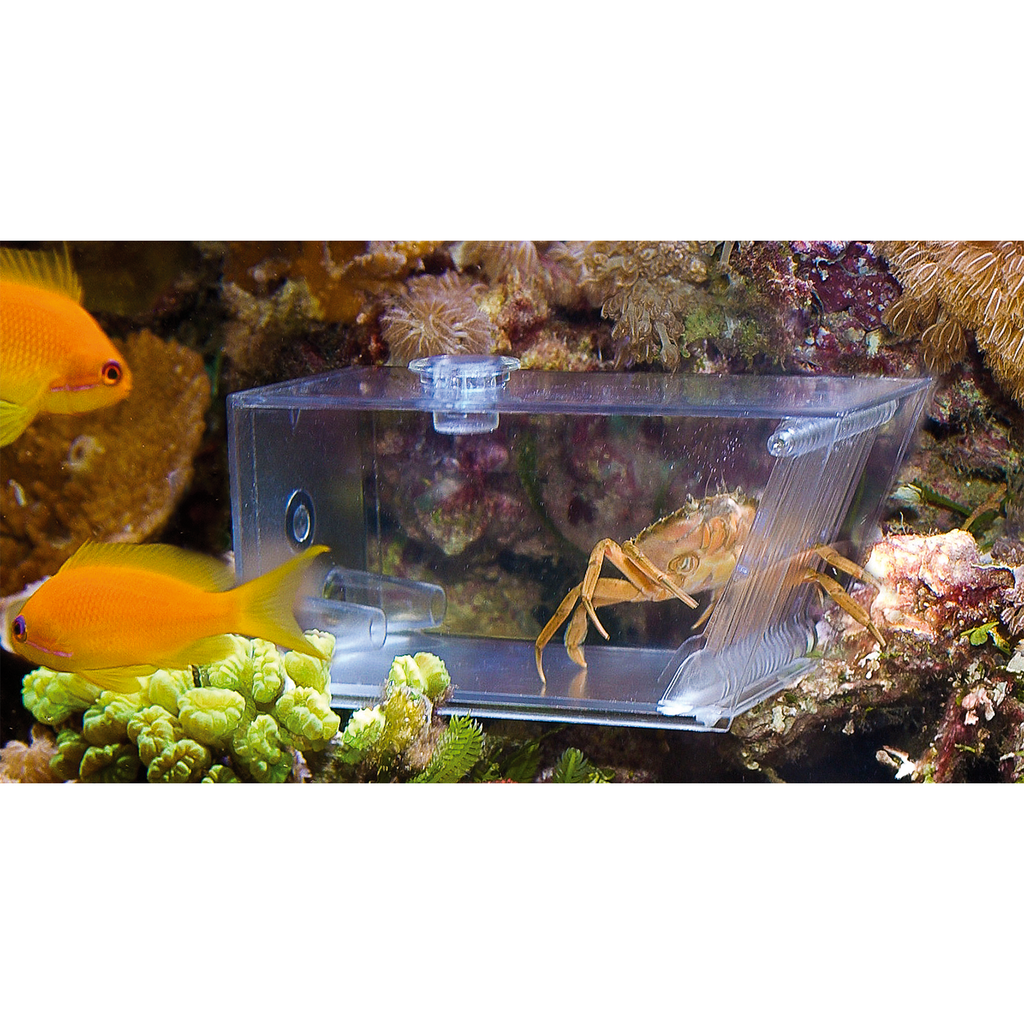aqua-medic-trap-pest-piege-universel-pour-crabes-escargots-et-vers-de-feu-en-eau-douce-ou-de-mer-1