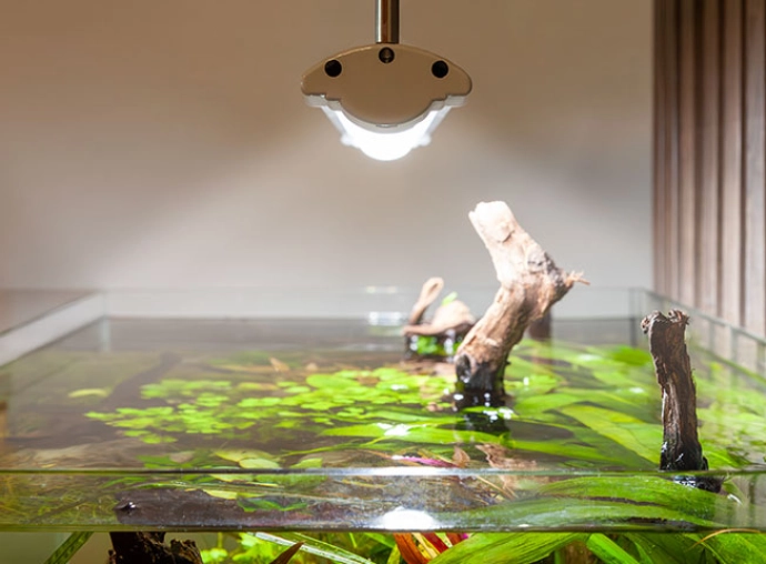 aquatlantis-easyled-universal-ultra-rampe-led-rgbw-pour-aquarium-ou-remplacement-de-tube-t5-et-t8-11