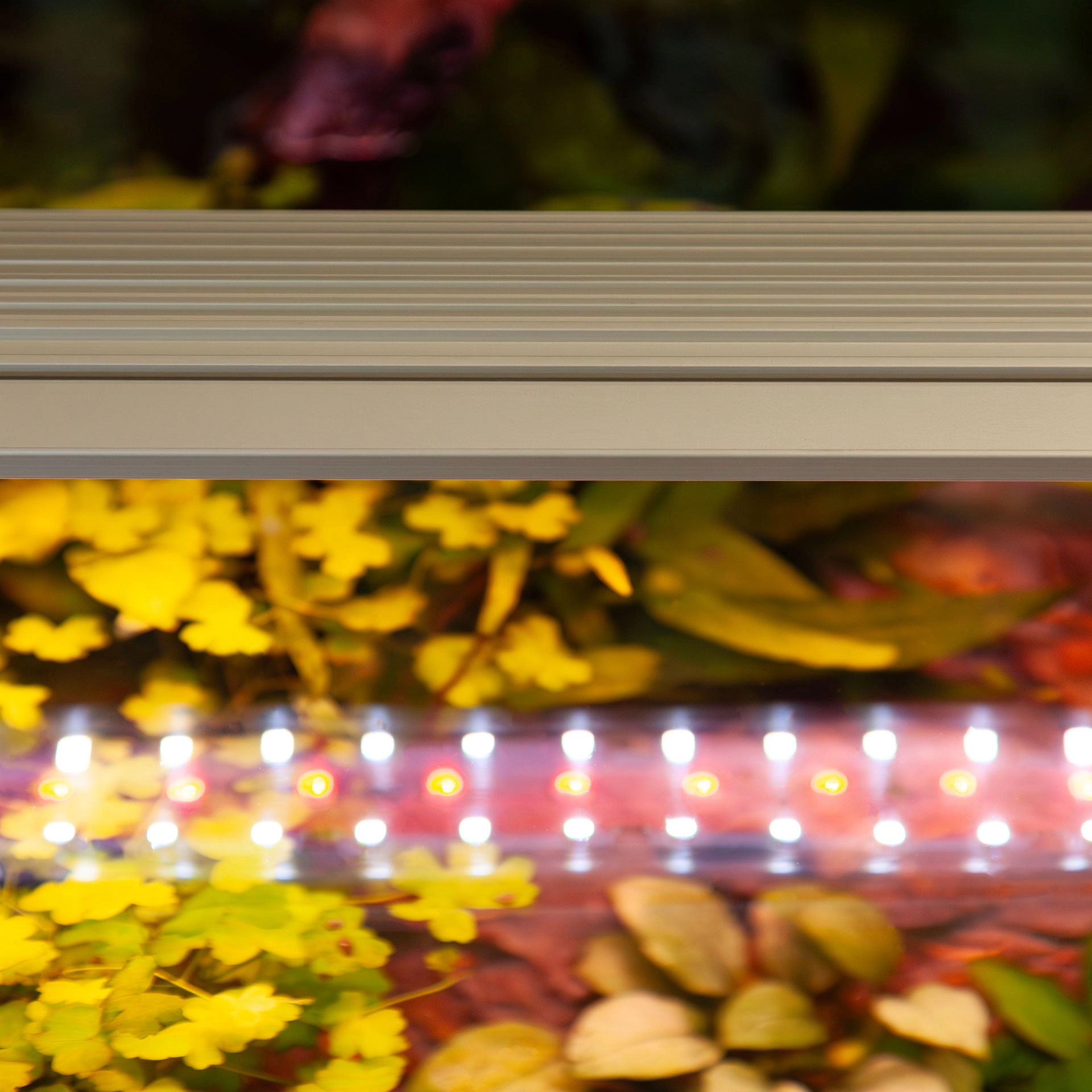 aquatlantis-easyled-universal-ultra-rampe-led-rgbw-pour-aquarium-ou-remplacement-de-tube-t5-et-t8-5
