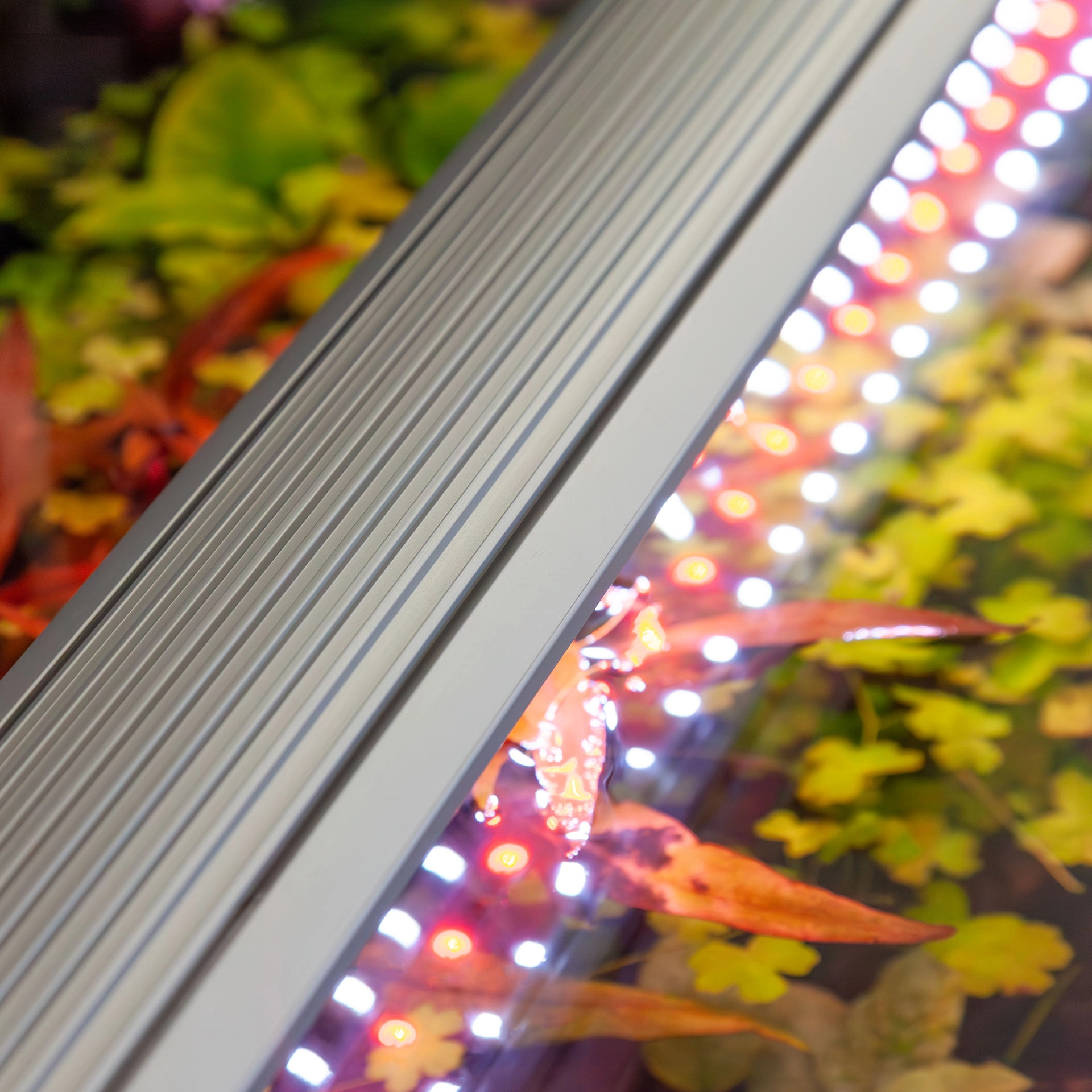 aquatlantis-easyled-universal-ultra-rampe-led-rgbw-pour-aquarium-ou-remplacement-de-tube-t5-et-t8-7
