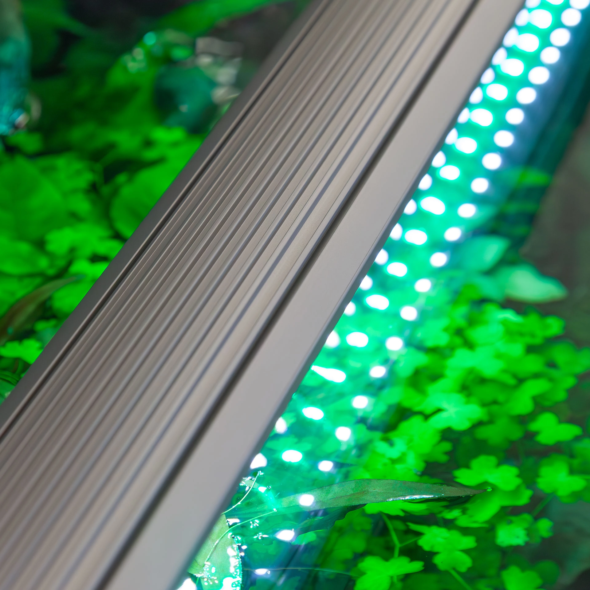 aquatlantis-easyled-universal-ultra-rampe-led-rgbw-pour-aquarium-ou-remplacement-de-tube-t5-et-t8-3