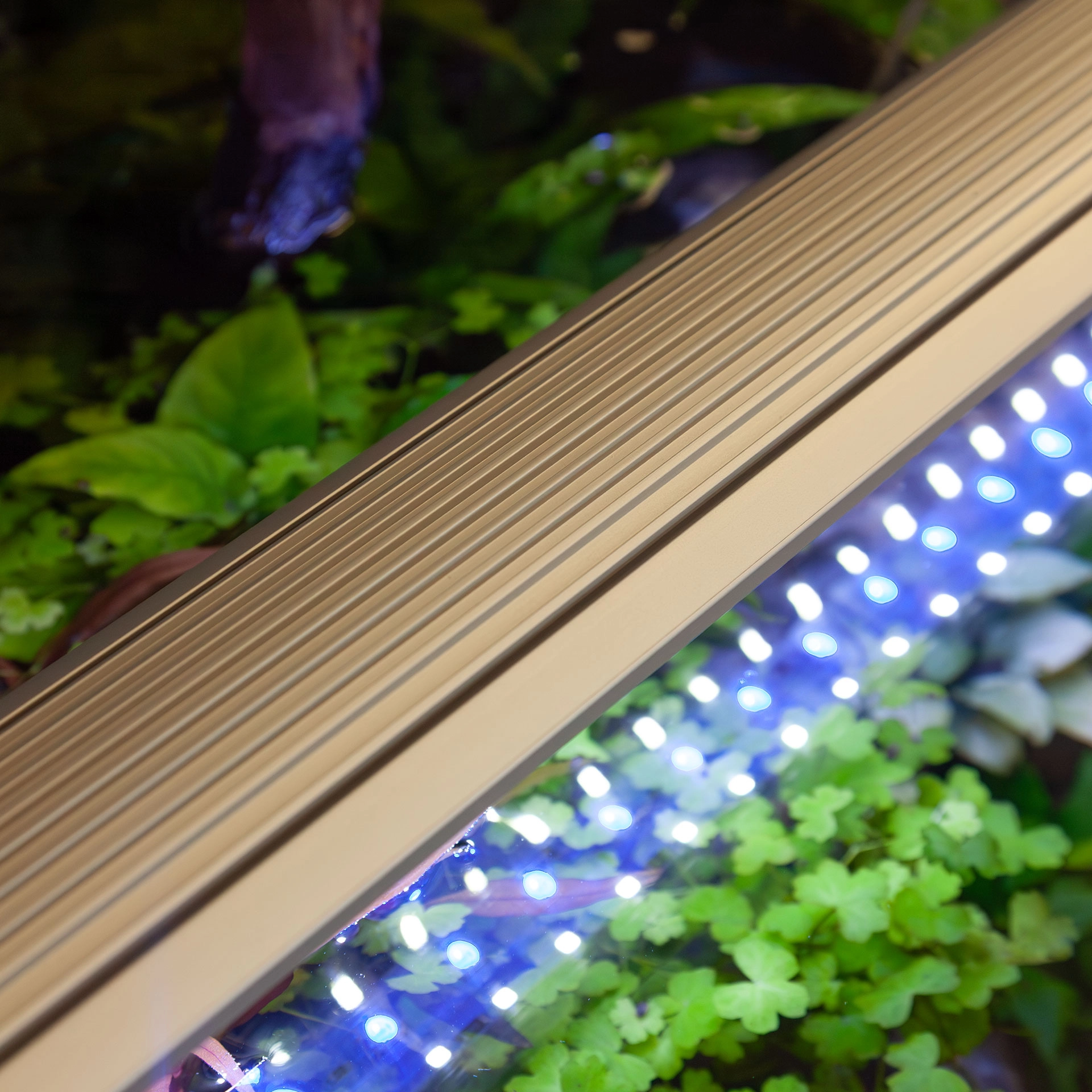 aquatlantis-easyled-universal-ultra-rampe-led-rgbw-pour-aquarium-ou-remplacement-de-tube-t5-et-t8-2