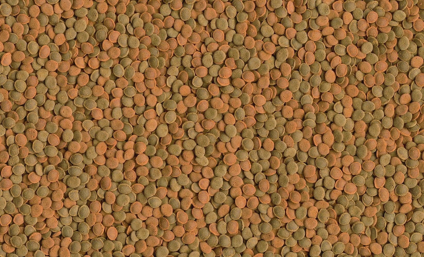 tetra-wafer-mix-aliment-complet-en-pastilles-pour-poissons-de-fond-et-crabes