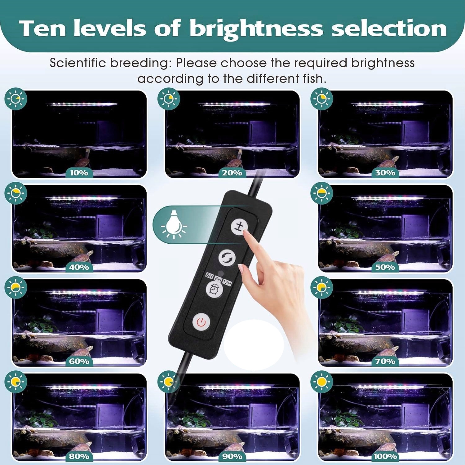scalare-nano-led-rgb-14w-eclairage-21-3-x-8-cm-pour-aquarium-de-30-a-40-cm-2