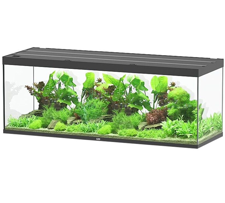 AQUATLANTIS Sublime Ultra 200x70 RGBW EF 199 x 69 x 74 cm Noir Haute Brillance aquarium équipé 1016 L