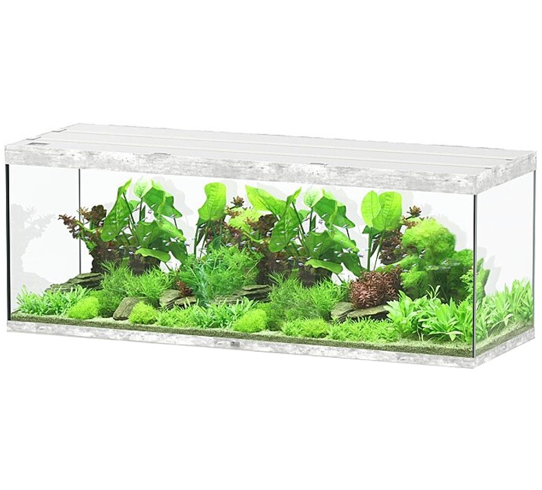 AQUATLANTIS Sublime Ultra 200x70 RGBW EF 199 x 69 x 74 cm Béton aquarium équipé 1016 L