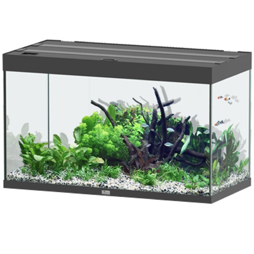 aquatlantis-aquarium-sublime-pro-led-2-0-100-x-50-x-60-cm-noir-haute-brillance-aquarium-300-l-avec-meuble
