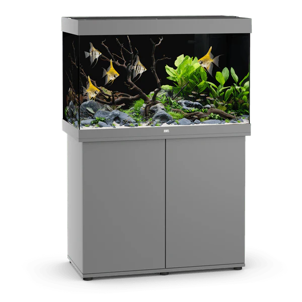 JUWEL Combinaison Rio 290 LED Gris aquarium 101 x 51 x 66 cm 290 L avec meuble SBX assorti