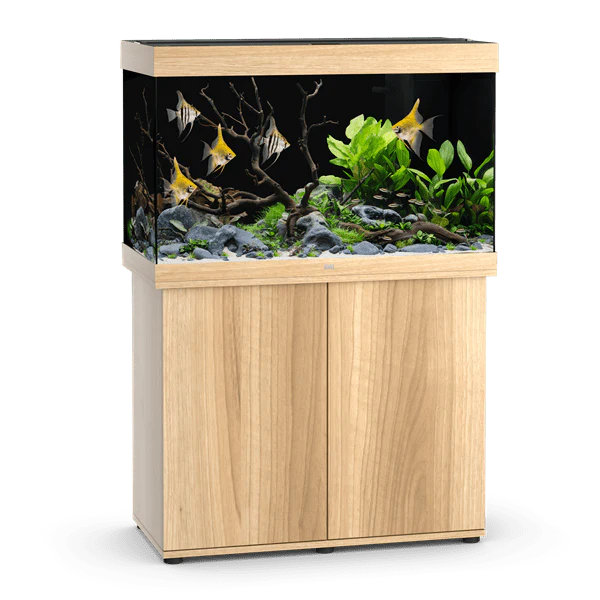 JUWEL Combinaison Rio 290 LED Chêne Clair aquarium 101 x 51 x 66 cm 290 L avec meuble SBX assorti