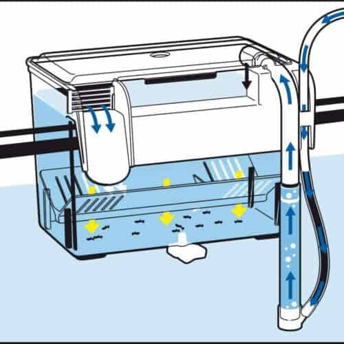 amtra-breeding-box-hang-on-1-5-l-isoloir-externe-avec-systeme-de-renouvellement-automatique-de-l-eau-5
