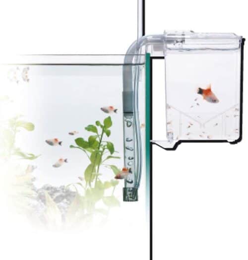 amtra-breeding-box-hang-on-1-5-l-isoloir-externe-avec-systeme-de-renouvellement-automatique-de-l-eau-4