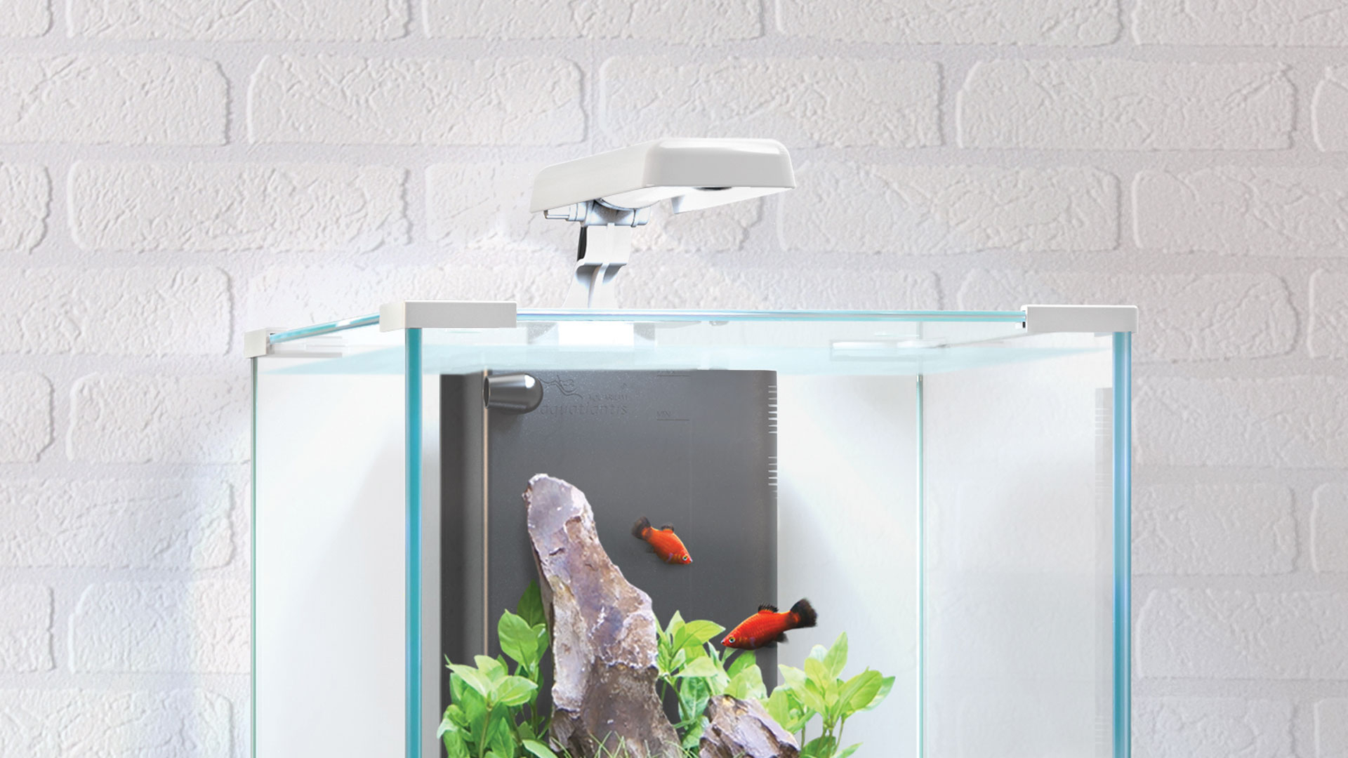 aquatlantis-easy-led-eclairage-leds-6500k-pour-nano-aquarium-d-eau-douce