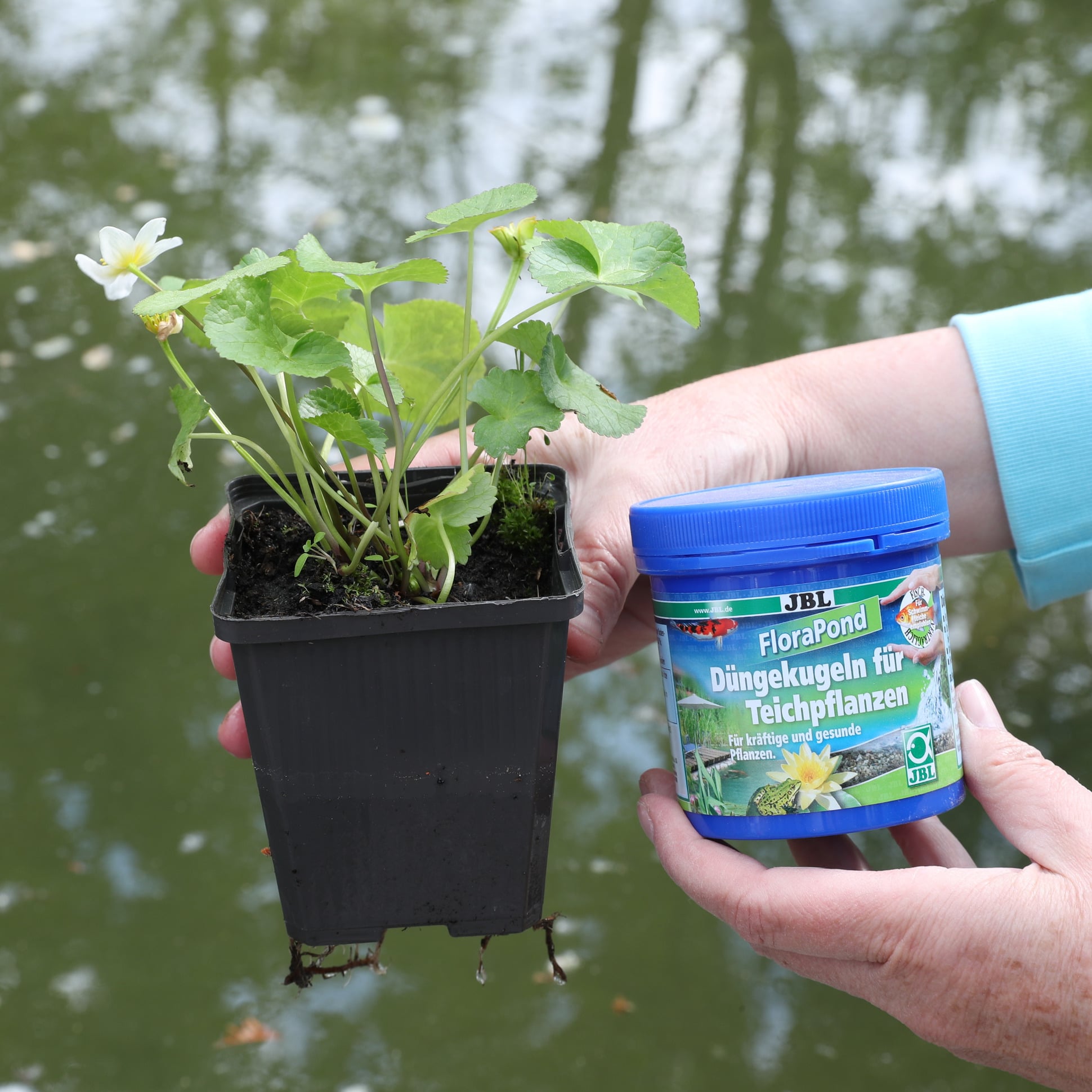 jbl-florapond-8-boulettes-d-engrais-pour-plantes-de-bassin-8-min