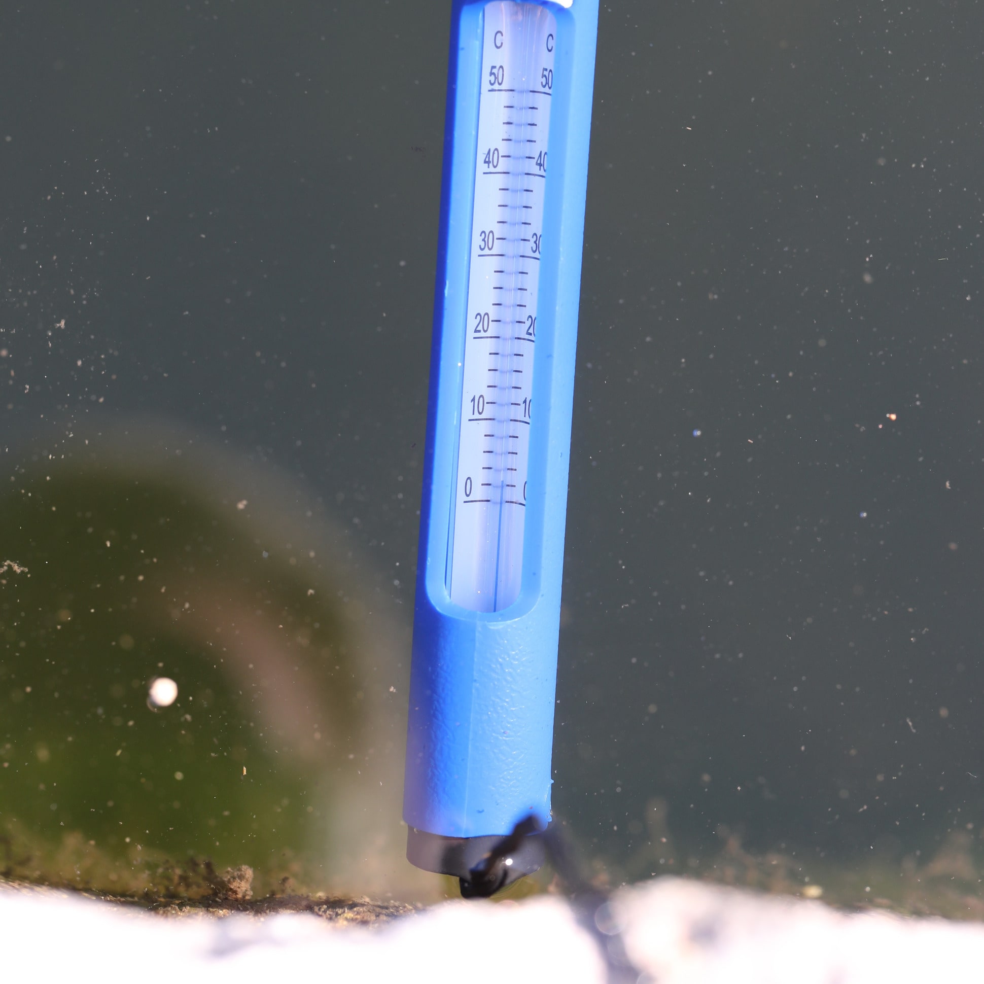 jbl-pond-thermometer-thermometre-flottant-pour-bassins-de-jardin-7-min